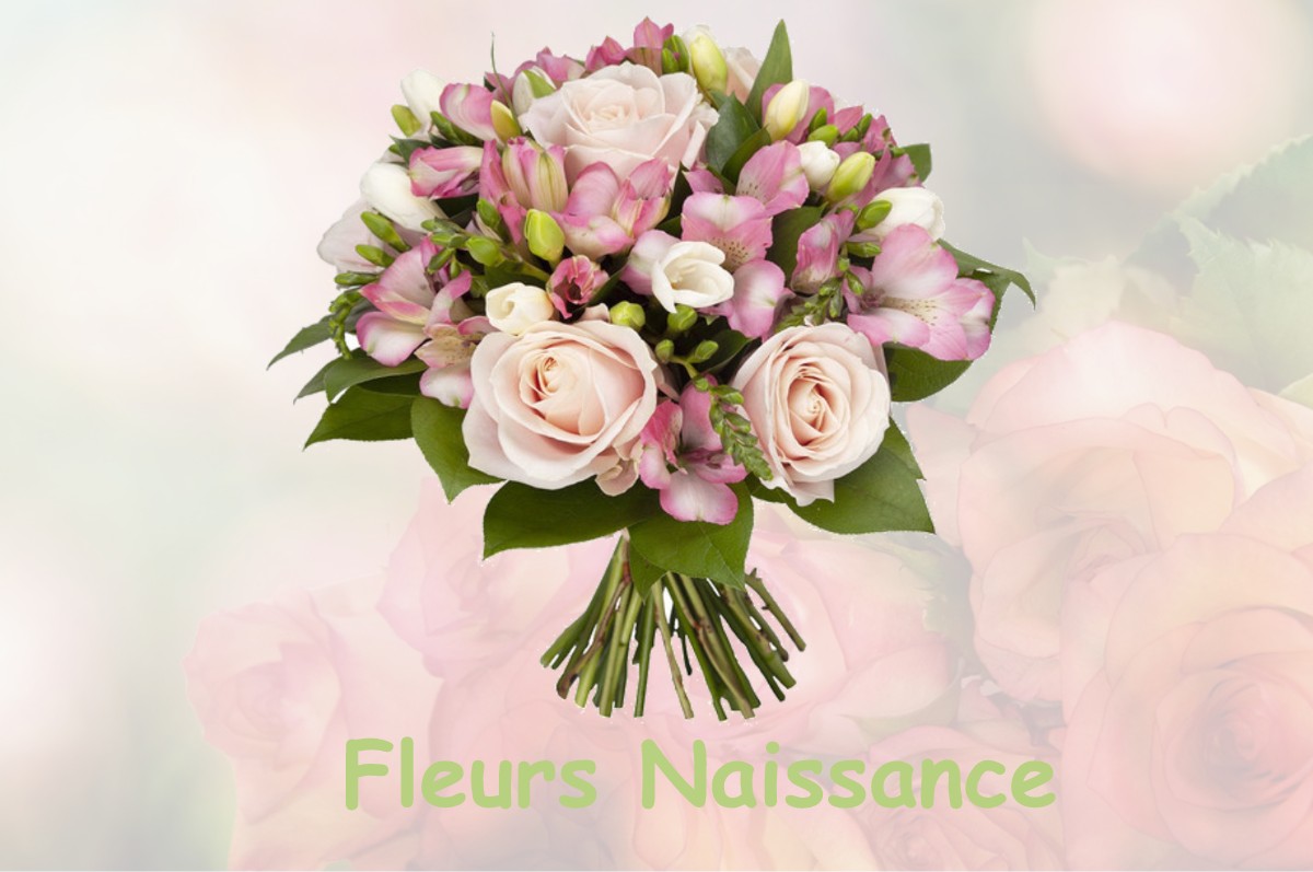 fleurs naissance CHAUSSENANS