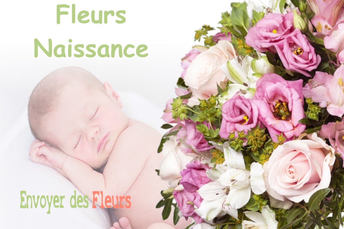 lIVRAISON FLEURS NAISSANCE à CHAUSSENANS